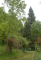Arboretum
