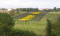FAISANDERIE DU VAL DE GRAY