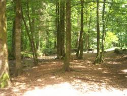 plancher les mines - Haute-Saone 