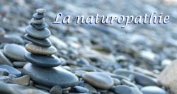 Naturopathie, Iridologie