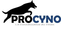 Education Canine Dressage Chie - Haute-Saone 