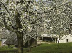 Ecomuse du pays de la cerise, Fougerolles