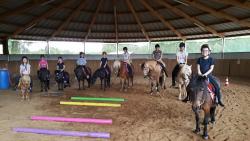 TOURISME EQUESTRE ET PONEY CLUB EQUITA SAONE