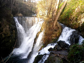 Le saut de l'Ognon  Servance | Nature de Haute-Sane