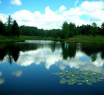 etang-des-vosges-saonoises-22e4-8570d8