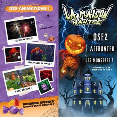 Agrandir l'image