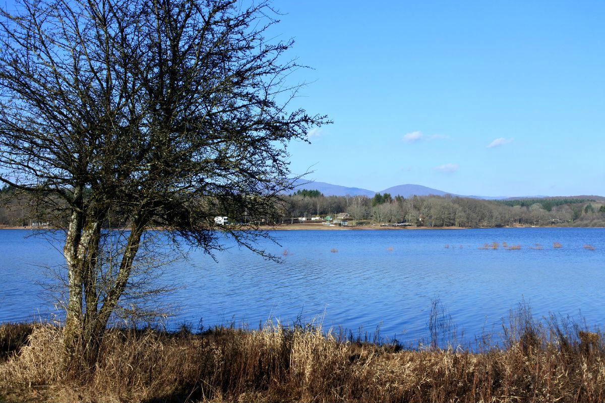 Bassin de Champagney