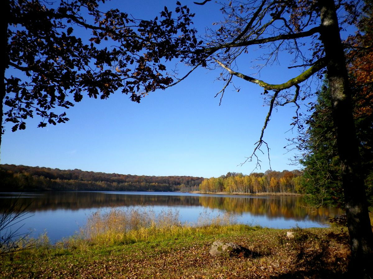 Etangs des Monts Reveaux