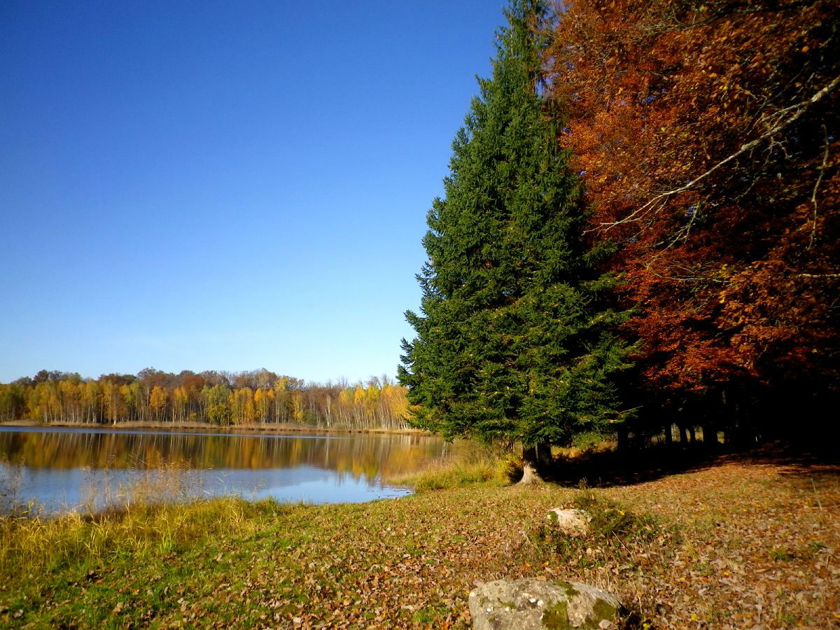 Etangs des Monts Reveaux