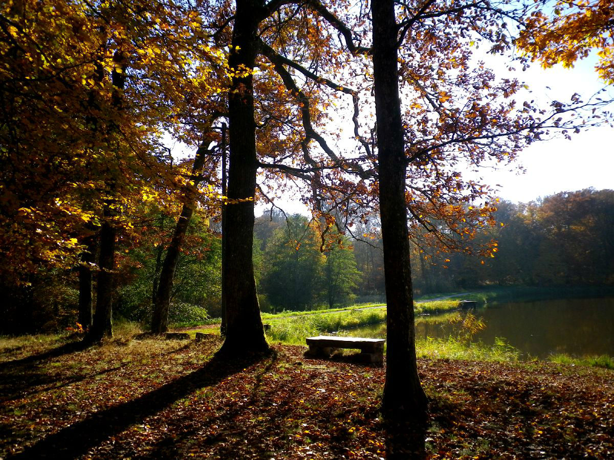 Etangs des Monts Reveaux