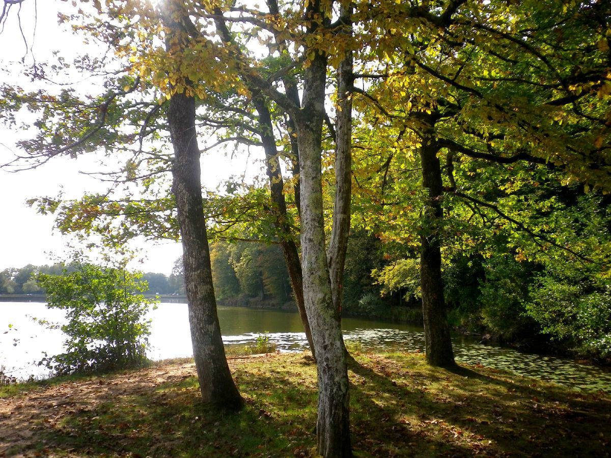 Etangs des 7 chevaux