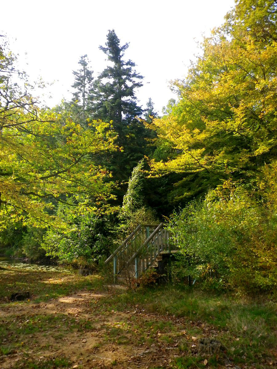 Etangs des 7 chevaux