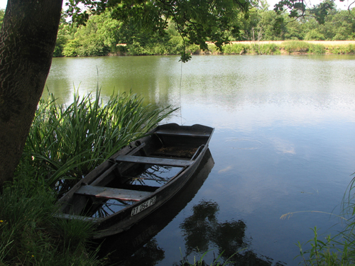 Barque sur la Saône : Soing