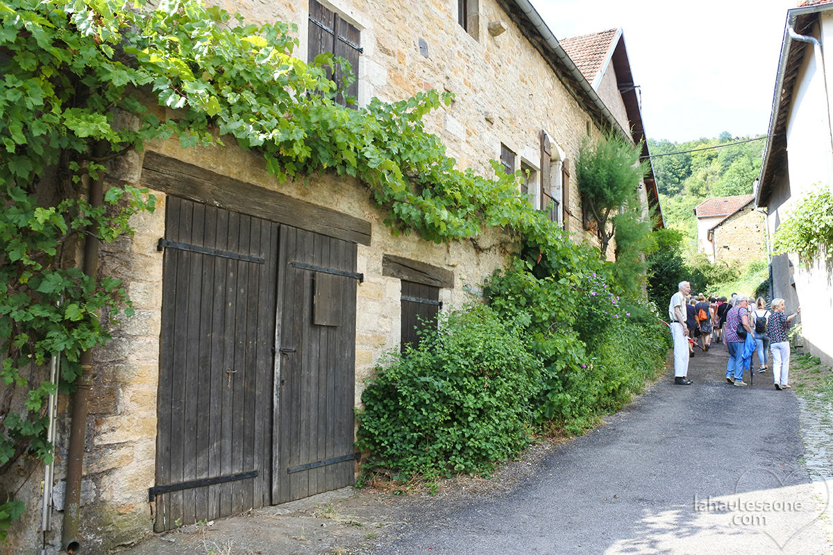 Direction les vignes !