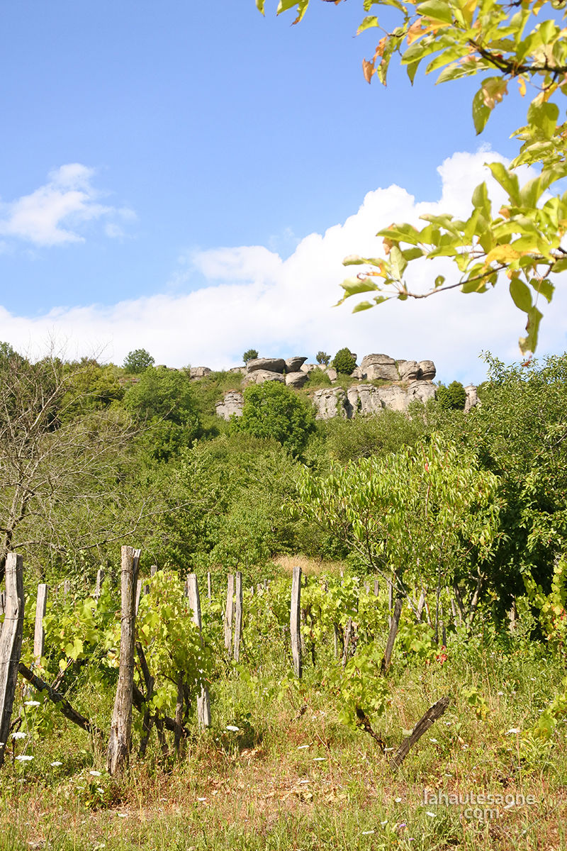 Le Camp de Csar domine les vignes