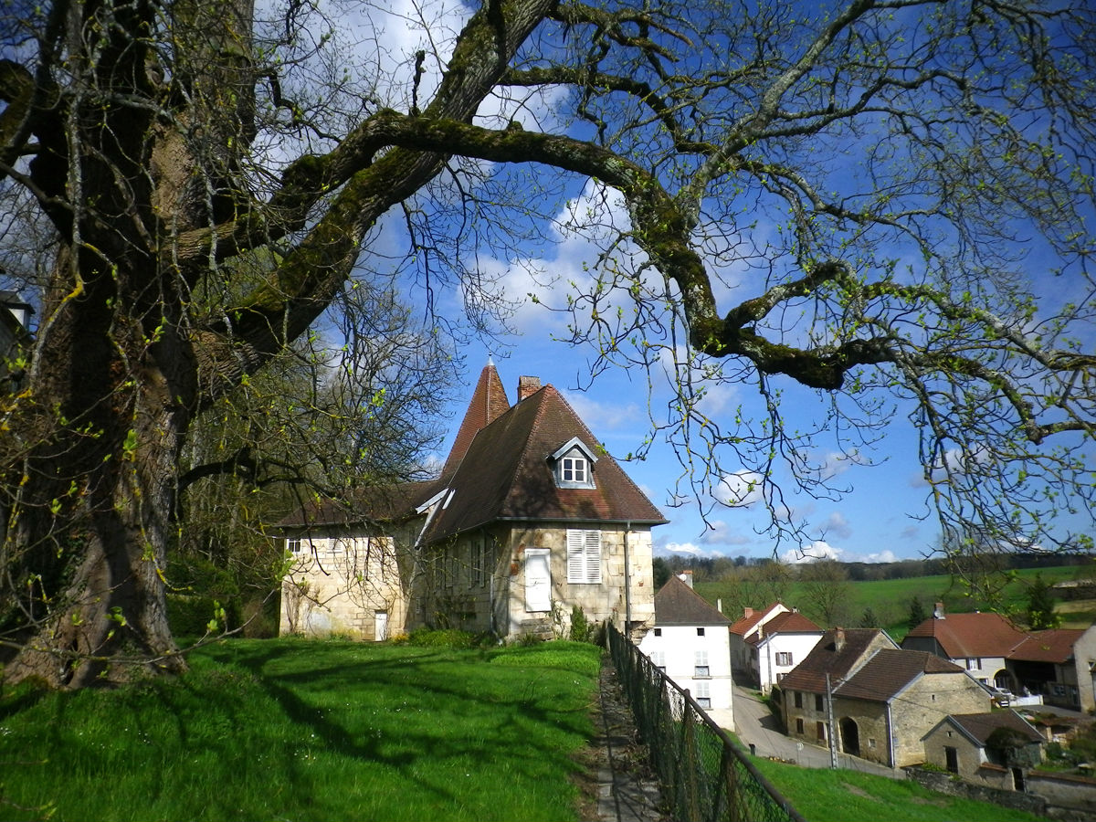 chateau-rupt-sur-saone-4