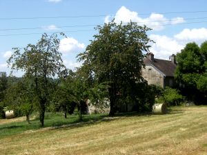 Commune d'Achey, canton de Dampierre sur Salon