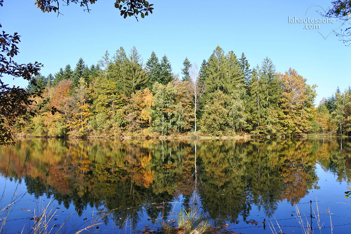 Etang de Plate Pierre