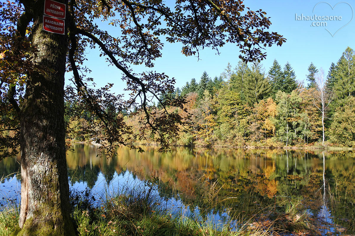 Etang de Plate Pierre