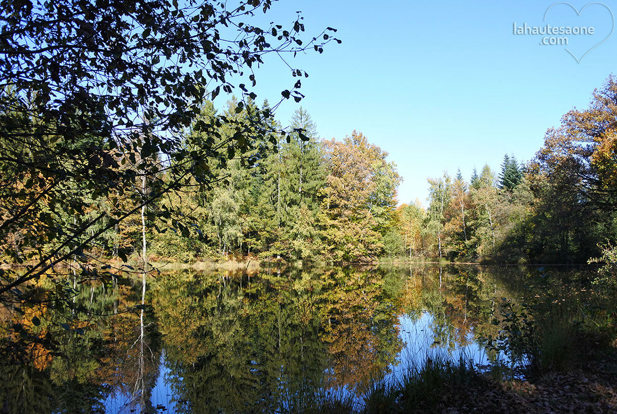 Etang de Plate Pierre