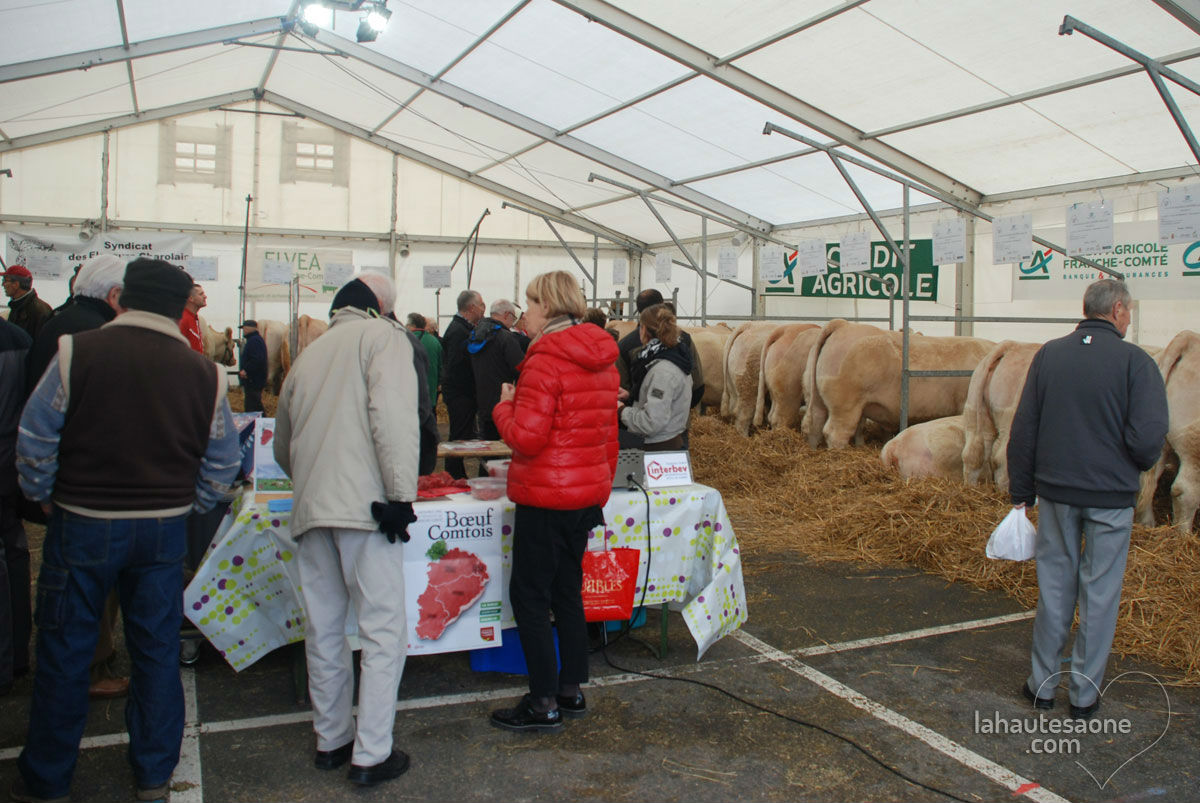 Foire aux bovins