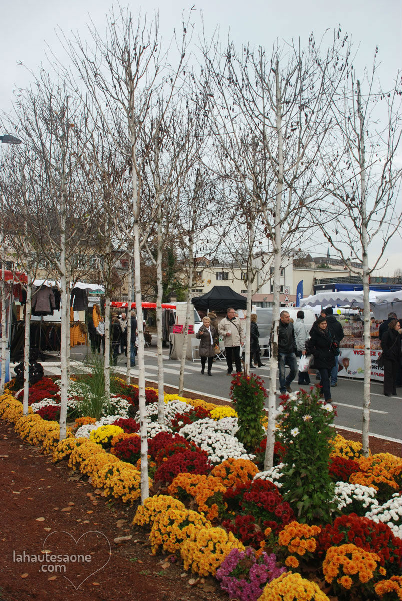 Sainte-Catherine en fleurs