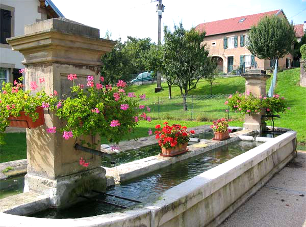 Fontaine  Frederic Fontaine