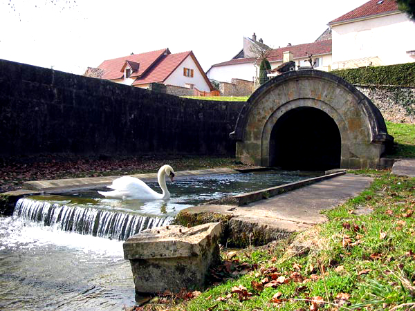 Fontaine à Scey sur Saône