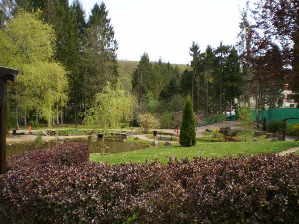 Le jardin japonais