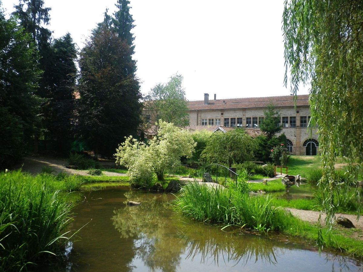 Le jardin japonais