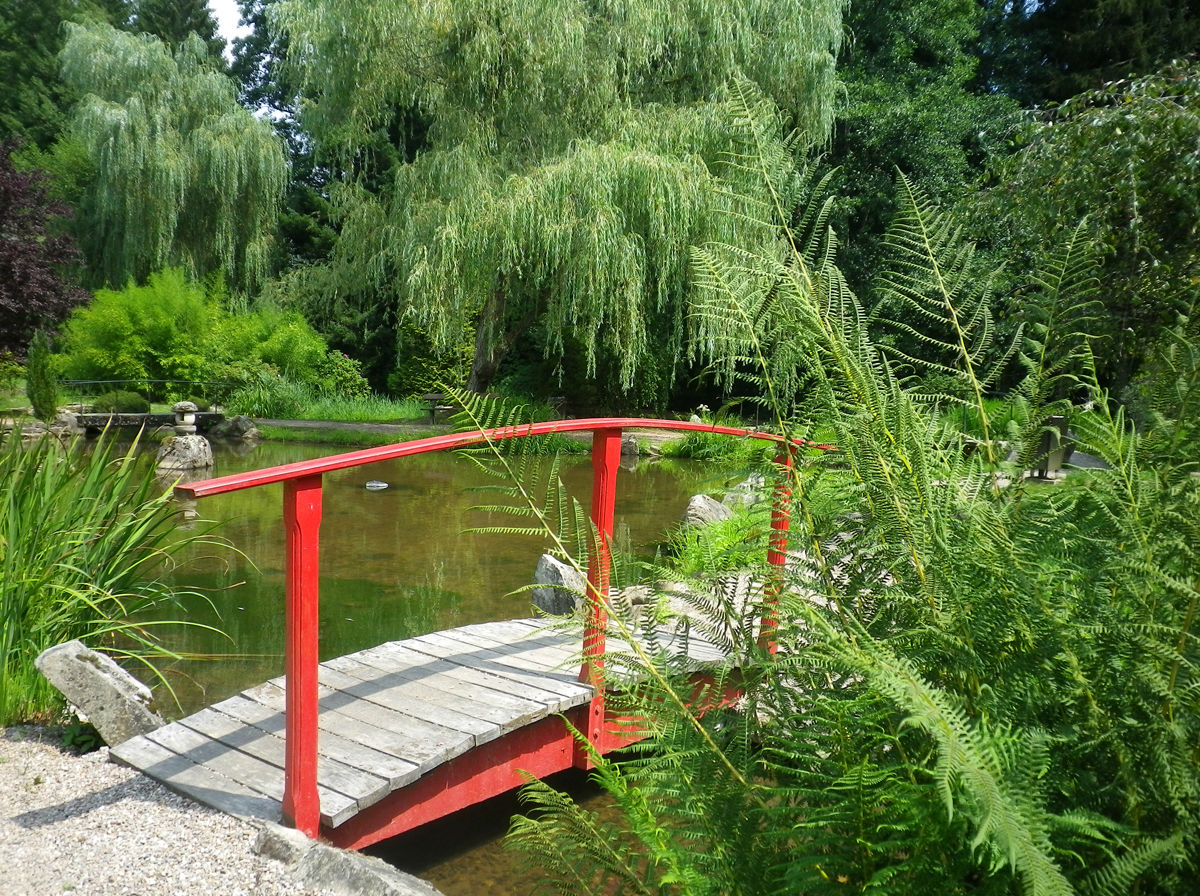 Le jardin japonais