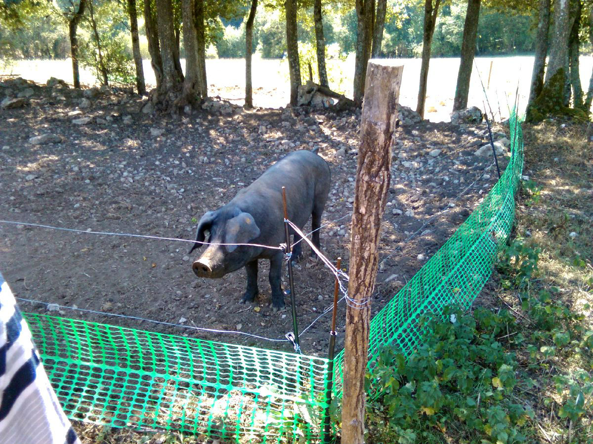 La Roulotte du Berger  Noroy le Bourg (3)