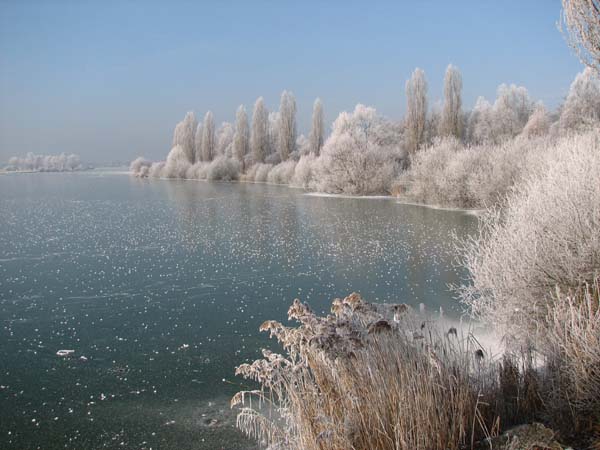 Lac de Vaivre. 03