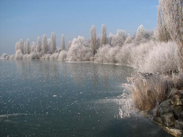 Lac de Vaivre. 04