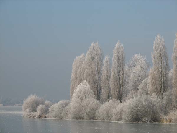 Lac de Vaivre. 05