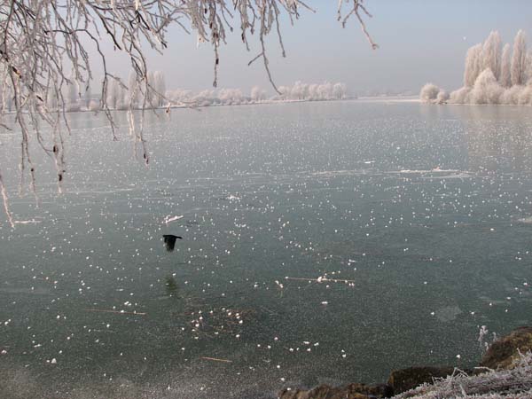 Lac de Vaivre. 06