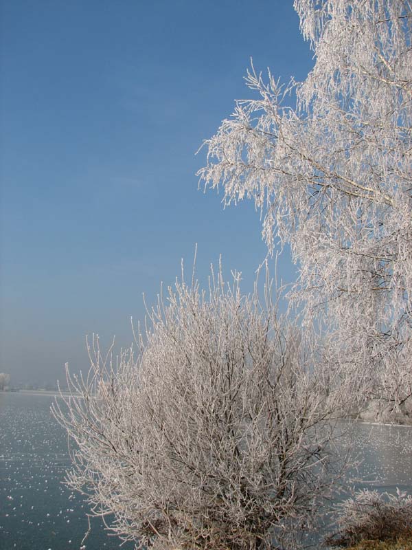 Lac de Vaivre. 07