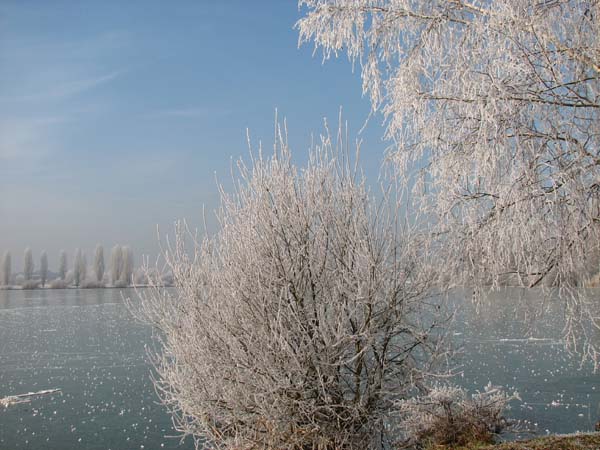 Lac de Vaivre. 08