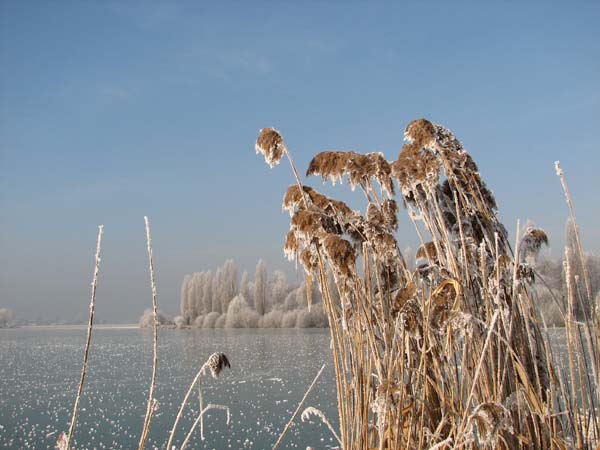 Lac de Vaivre. 10