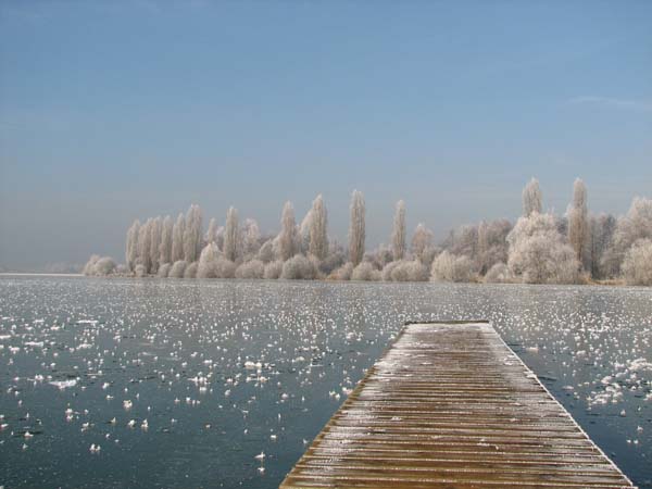 Lac de Vaivre. 12