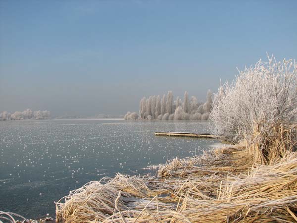 Lac de Vaivre. 17