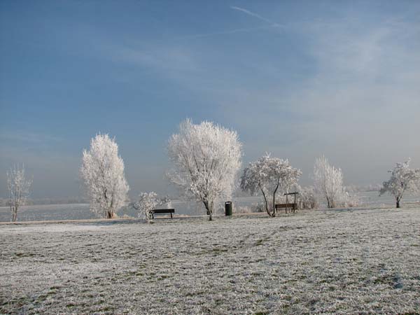 Lac de Vaivre. 21