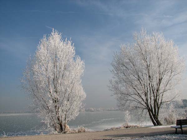 Lac de Vaivre. 22