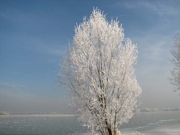 Lac de Vaivre. 23