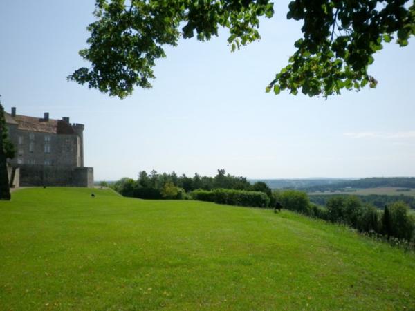 Le château surplombe la vallée de la Saône