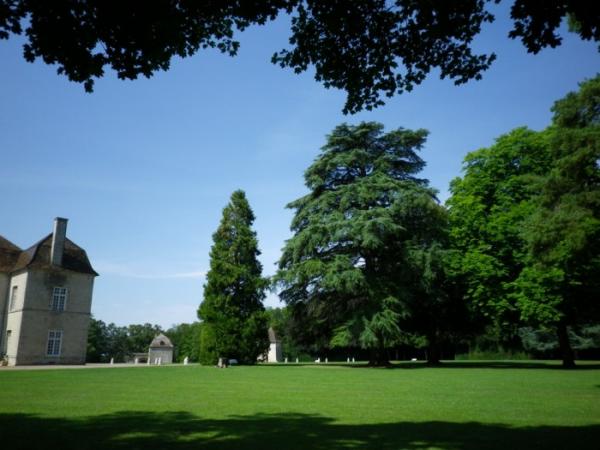 Le parc et ses essences rares