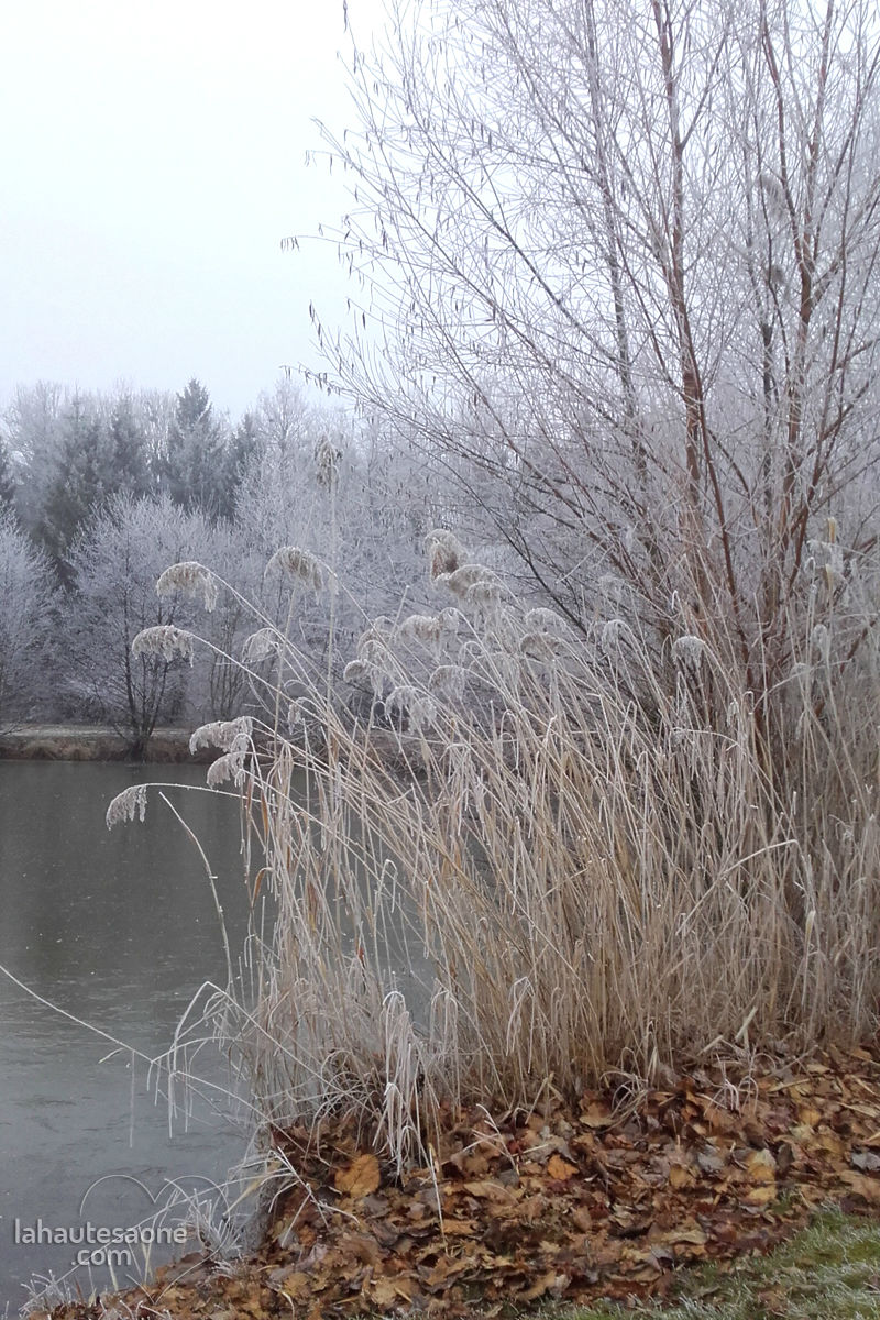 lure-parc-abbaye-2