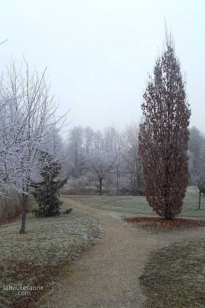 lure-parc-abbaye-3