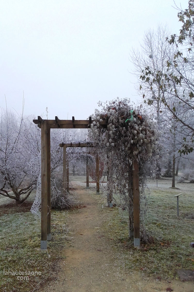 lure-parc-abbaye-4