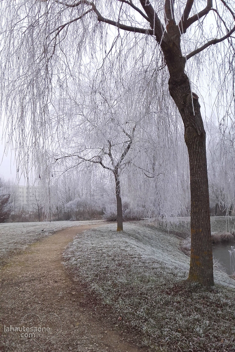 lure-parc-abbaye-5